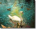 Swans on a Lake © Heidi Bosch Romano
